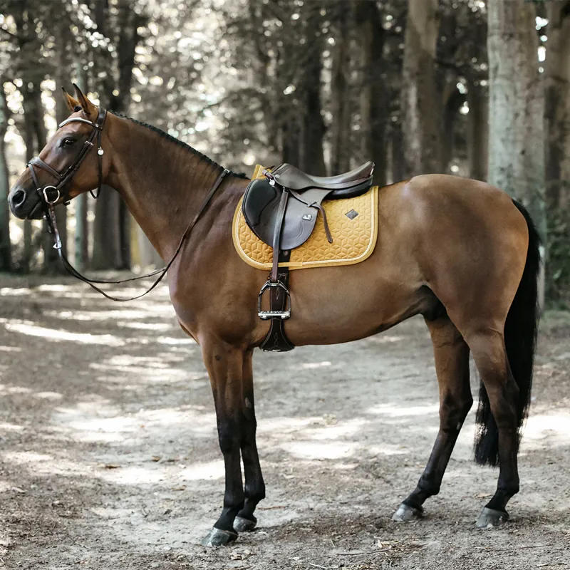 Kentucky Velvet Jumping Saddlecloth - Mustard-3